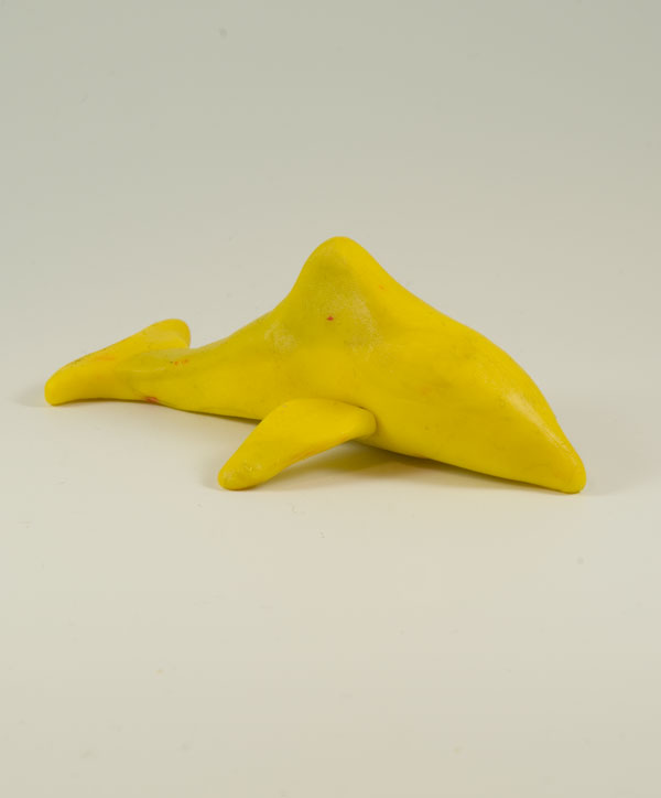 Dolphin